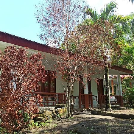 Tangkoko Jungle Homestay Rinondoran Exterior photo